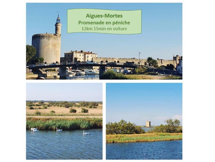 Suite Maya Parking Clim Wifi Centre-Ville Et Port - Rossiconciergerie - Linge Inclus La Grande-Motte Exterior foto